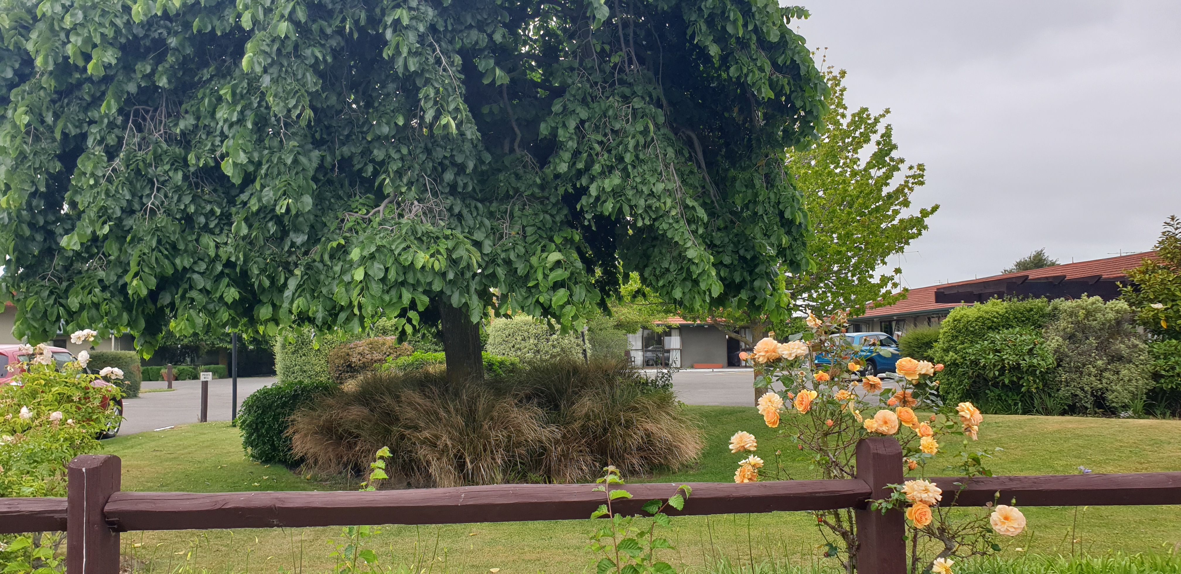 Ashburton motel